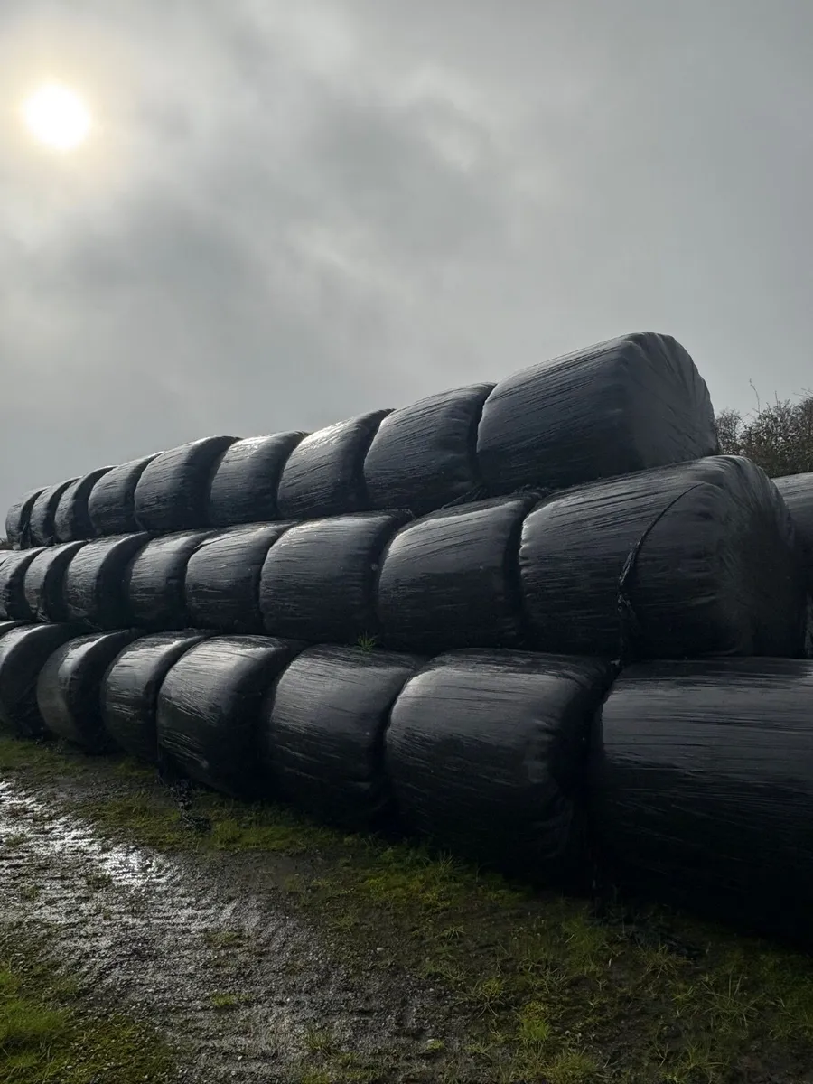 Haylage and Hay - Image 3