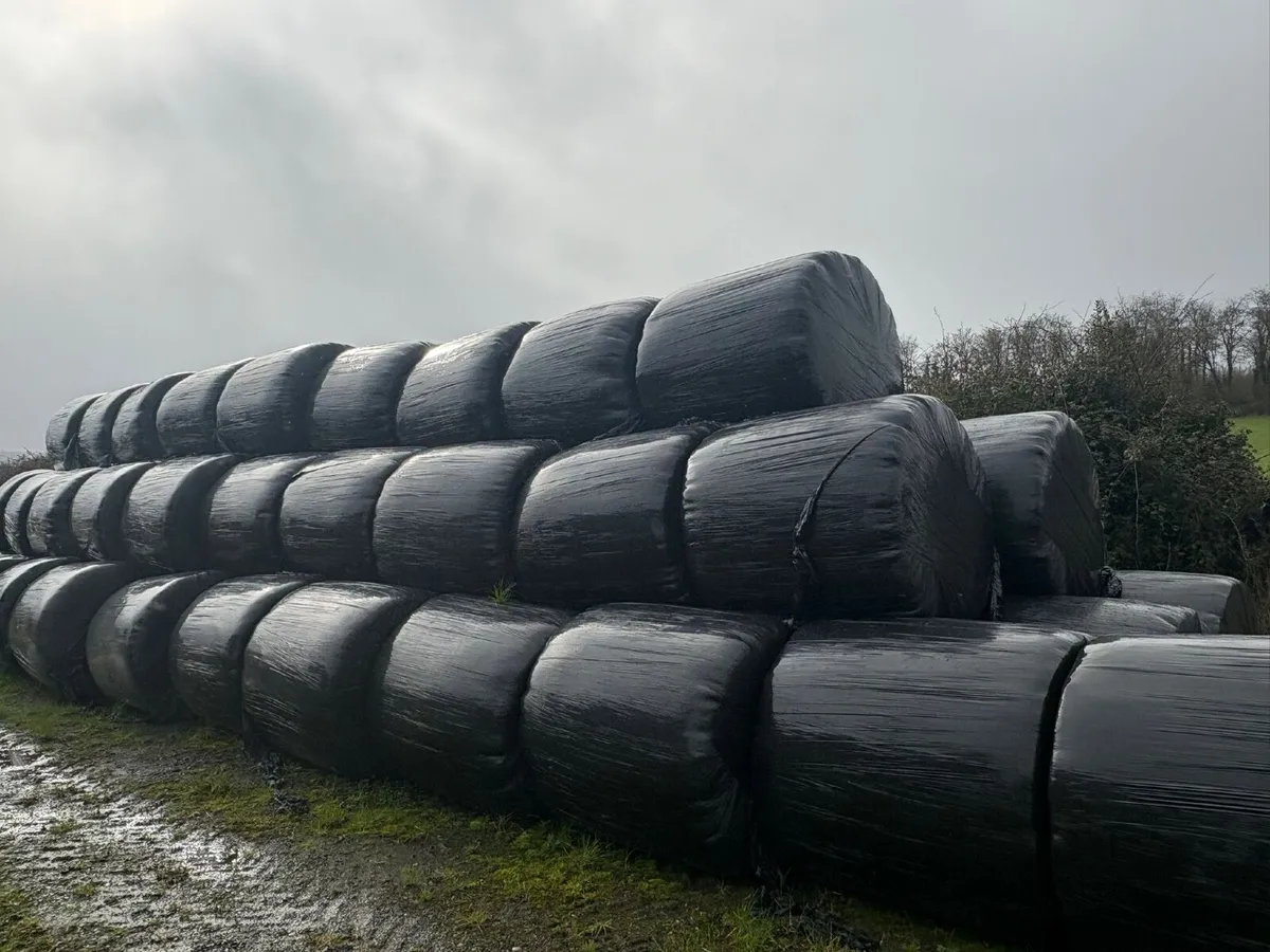 Haylage and Hay - Image 4