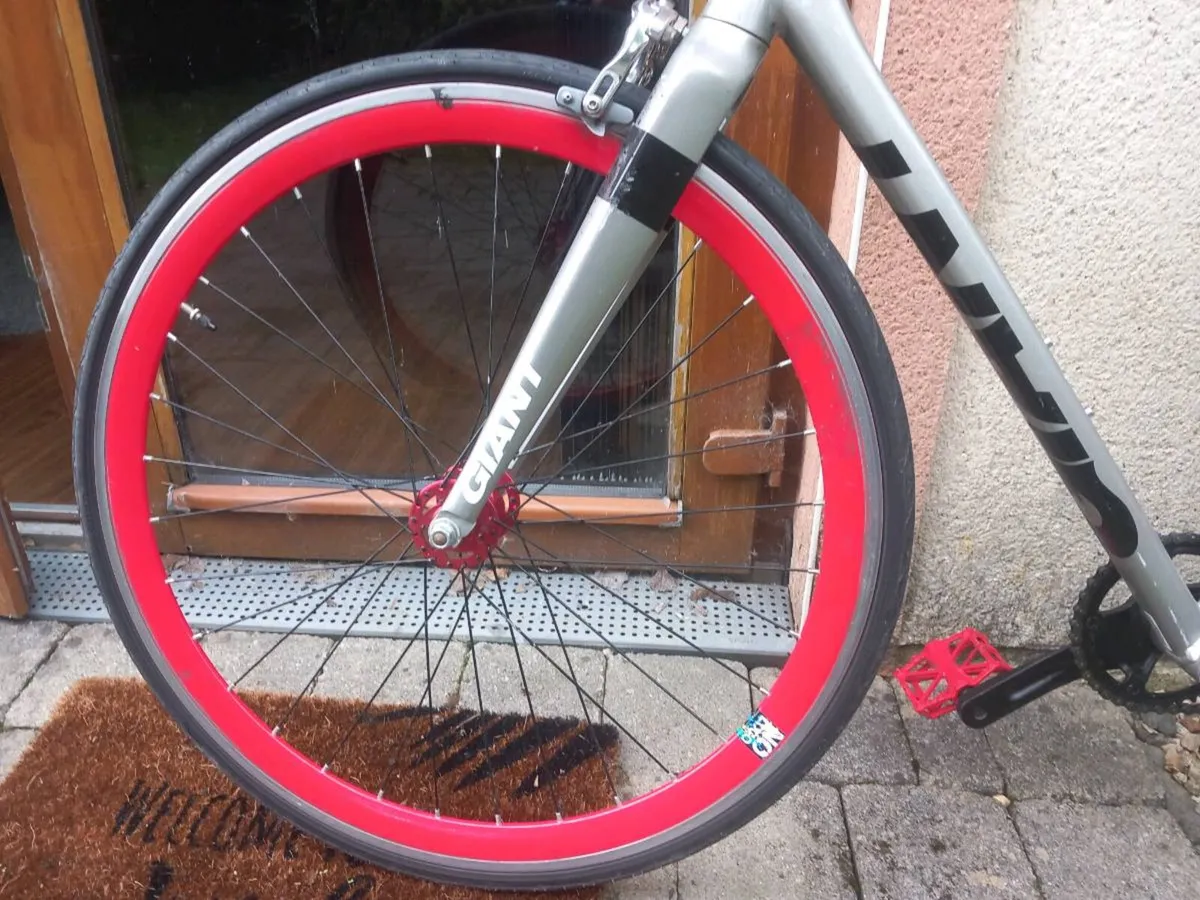 Fixie - Image 4