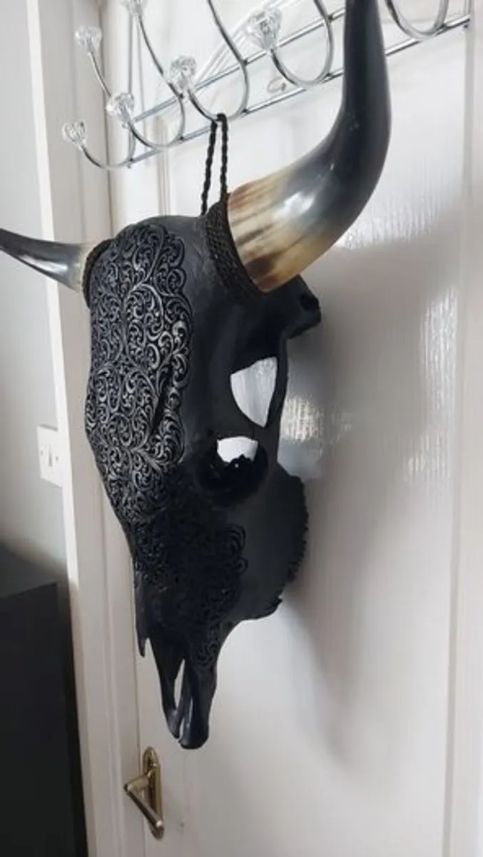 Carved Black Bull Skull - Image 4