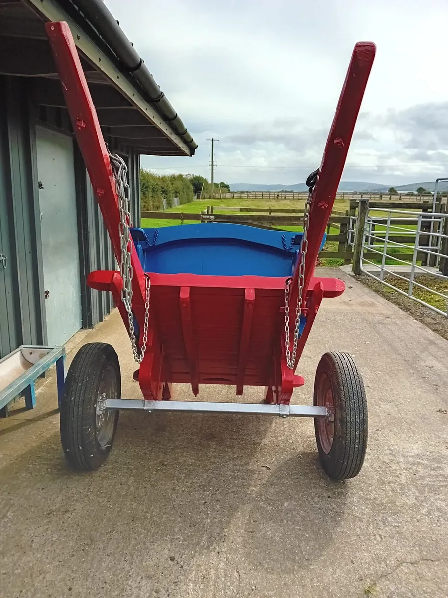 Donkey Cart - Image 4
