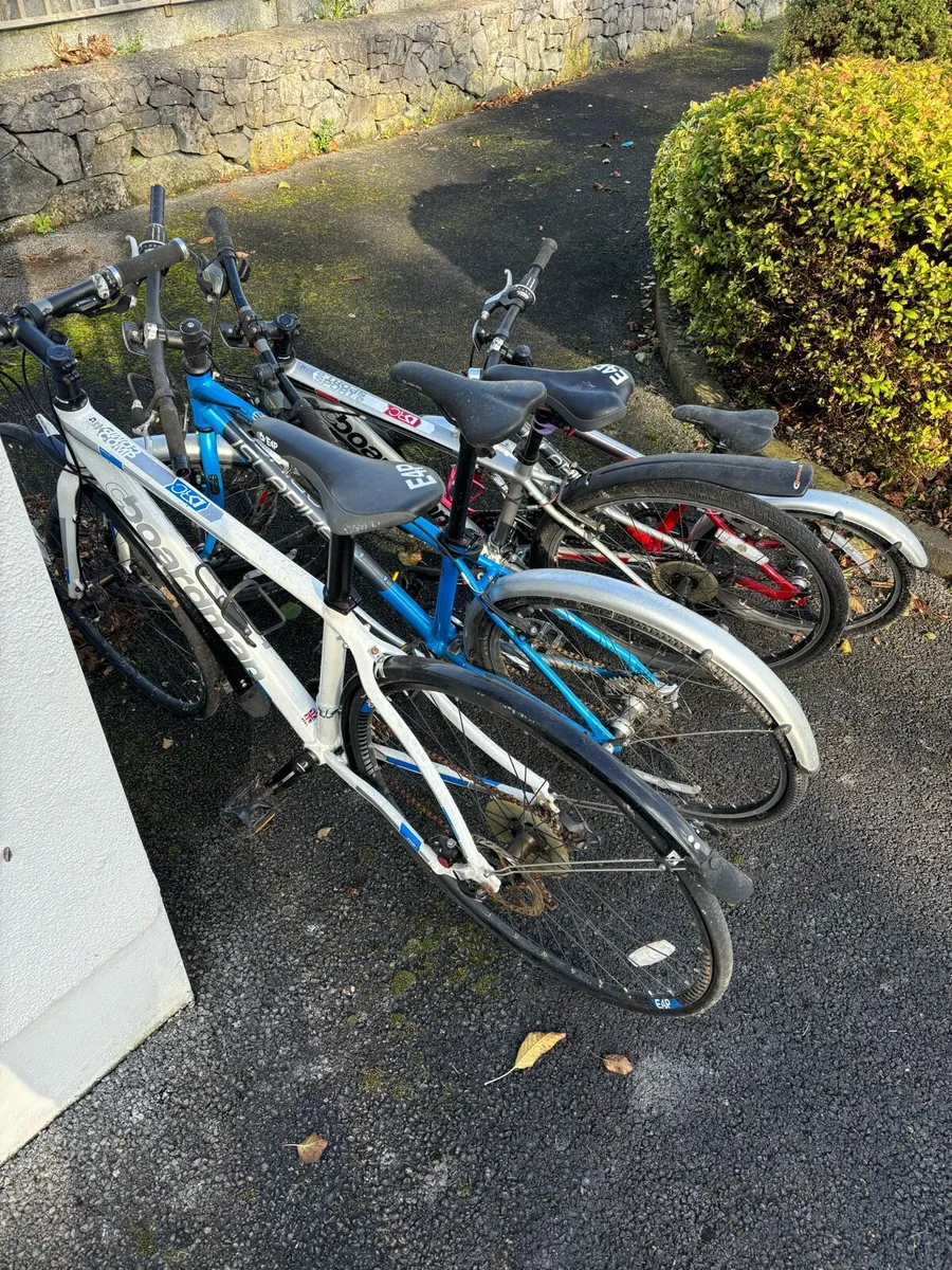 Bikes - Image 1