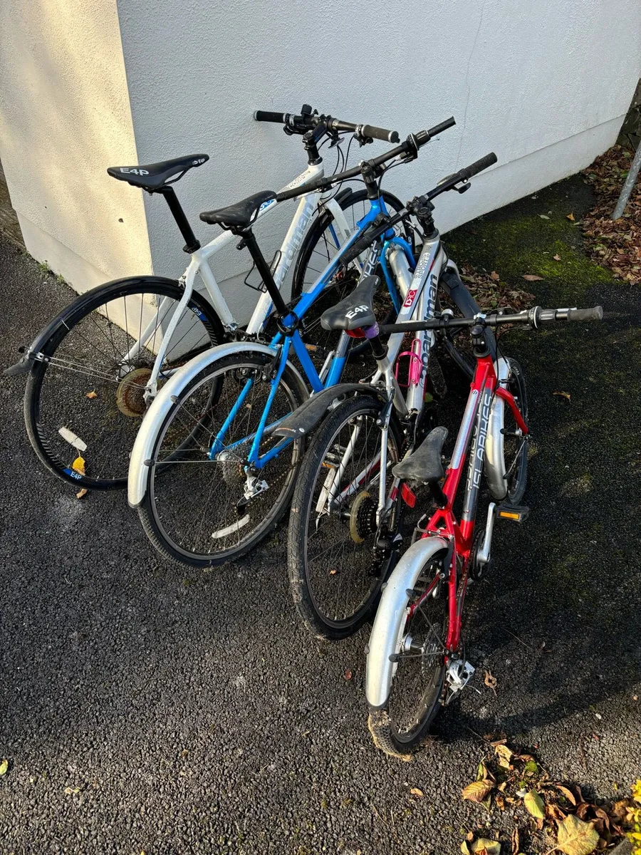 Bikes - Image 3