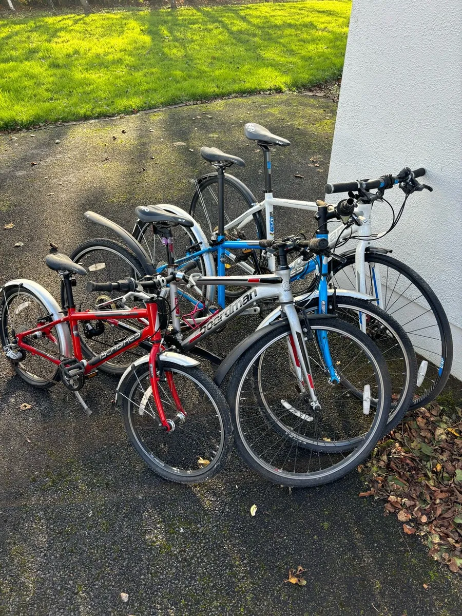 Bikes - Image 2