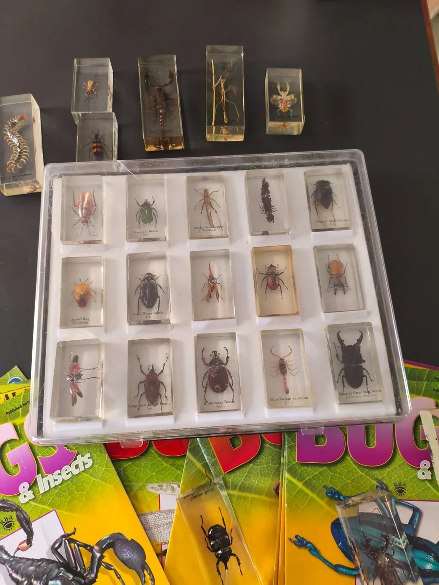 Bug's  in resin - Image 1