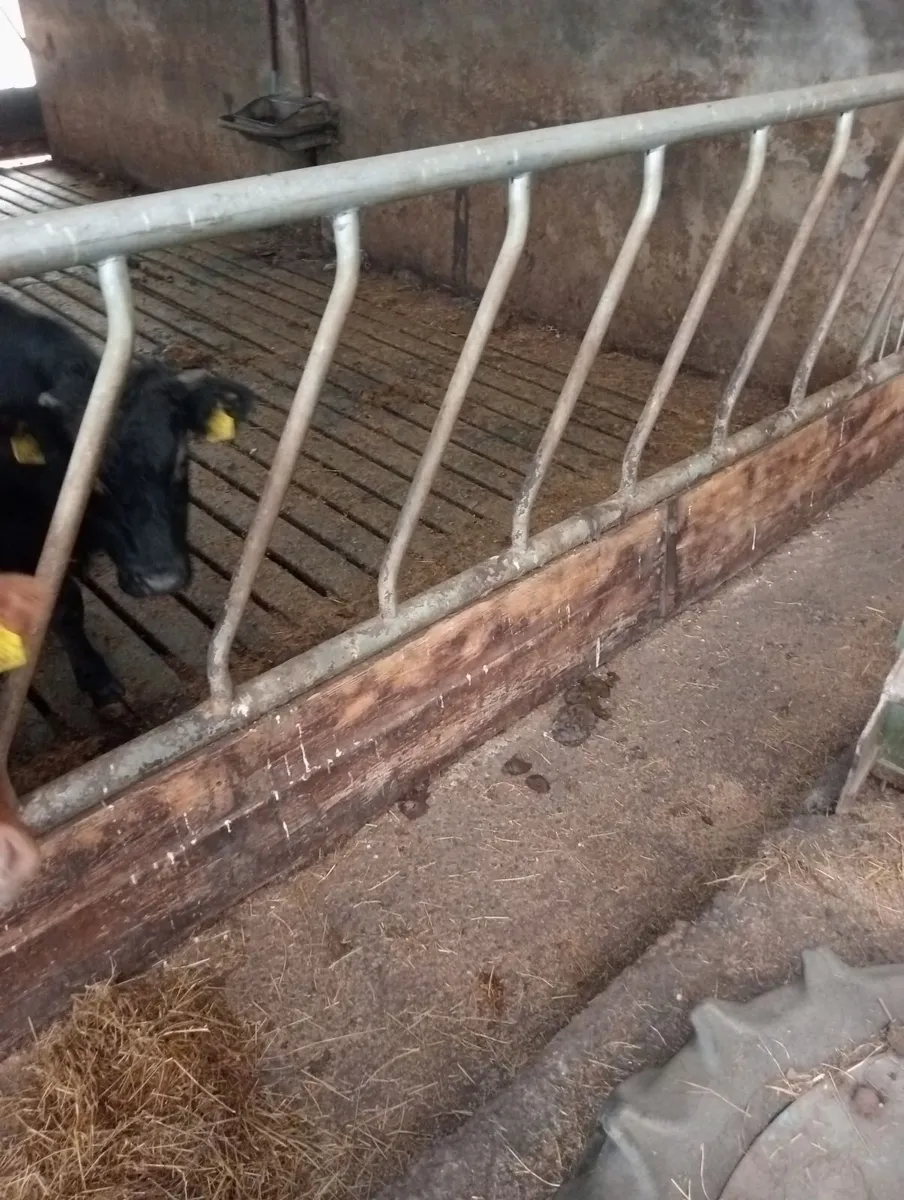 Cattle pen - Image 1