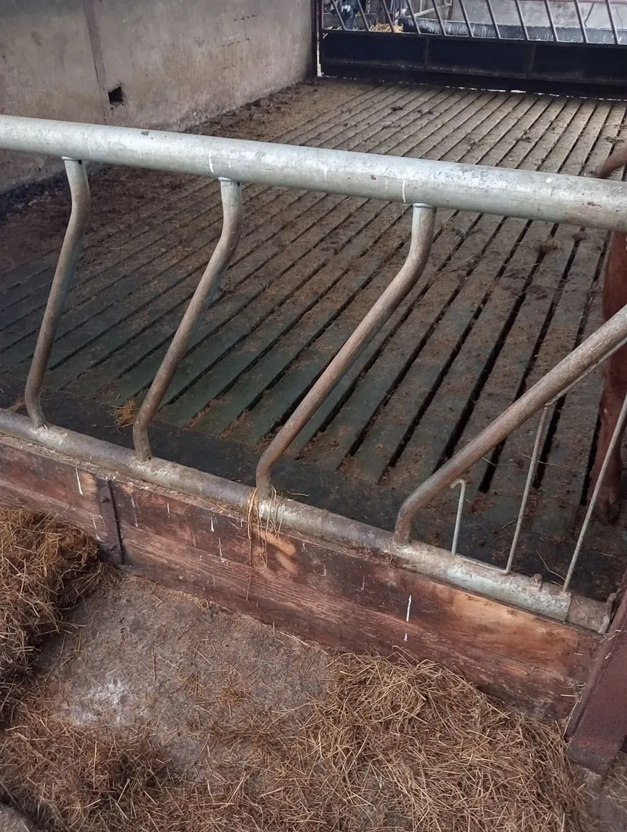 Cattle pen - Image 2