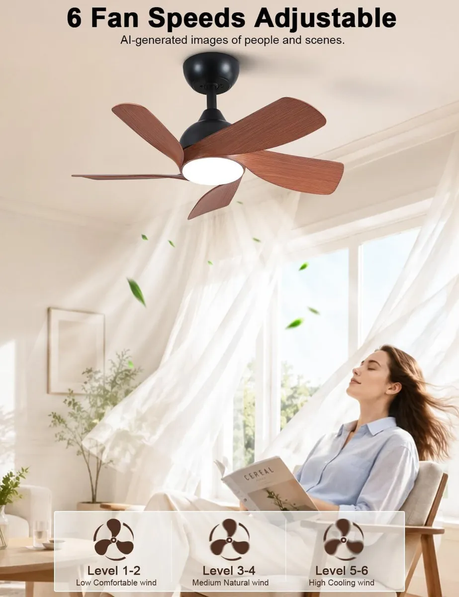 30 Inch Small and Walnut Colour Ceiling Fans - Image 2