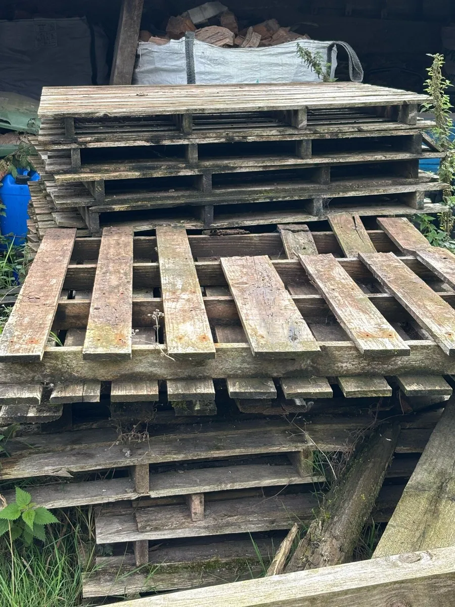 Free wood pallets fence posts for firewood - Image 1