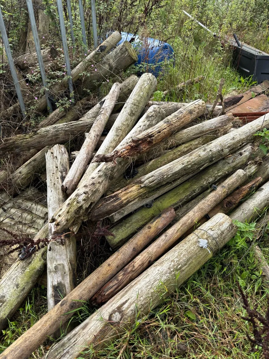 Free wood pallets fence posts for firewood - Image 3