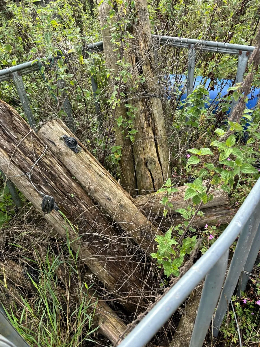 Free wood pallets fence posts for firewood - Image 2