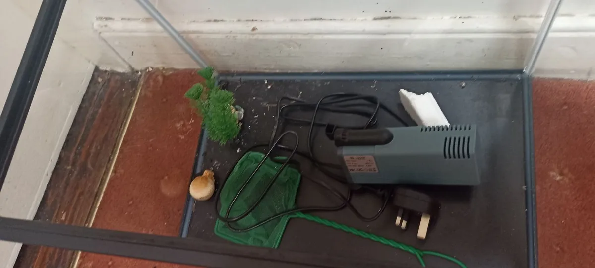 Small Fish Tank & Filter - Image 1