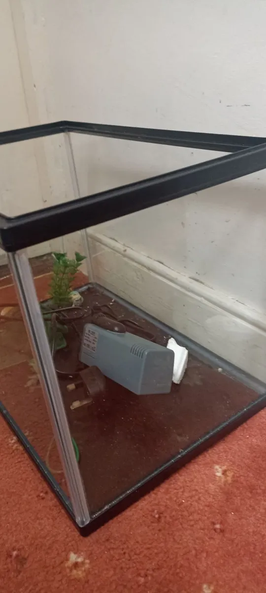 Small Fish Tank & Filter - Image 2