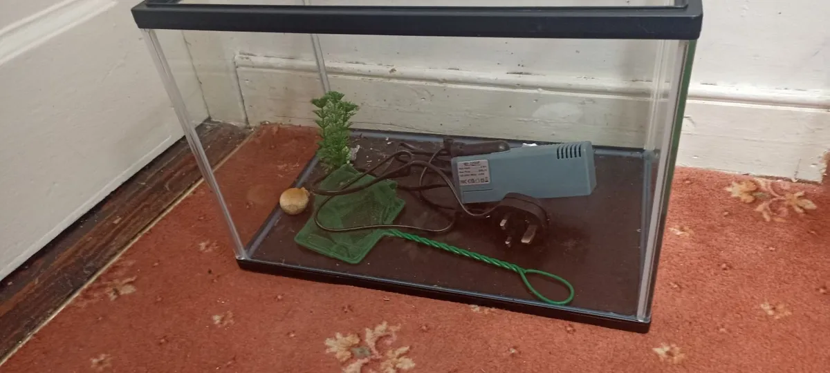Small Fish Tank & Filter - Image 3