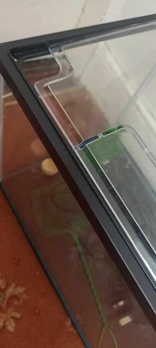 Small Fish Tank & Filter - Image 4
