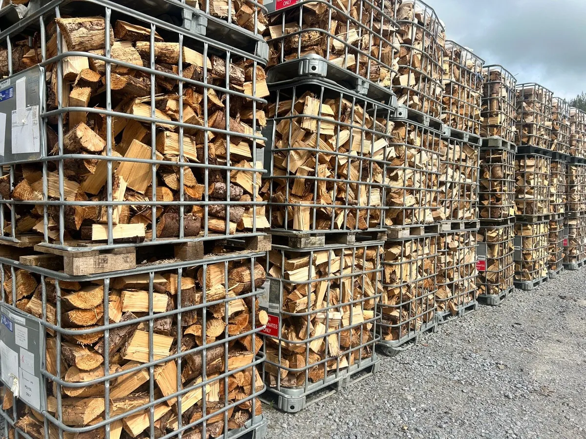 Seasoned firewood - Image 1