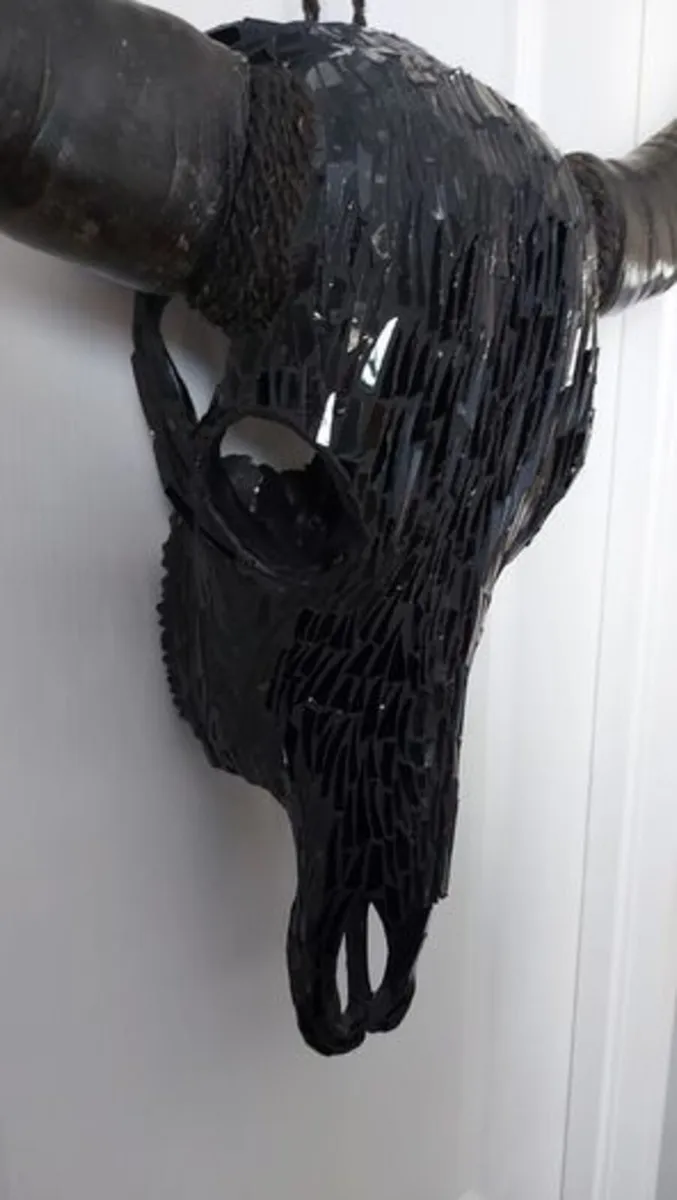 Glass Insert Black Buffalo Skull - Image 1