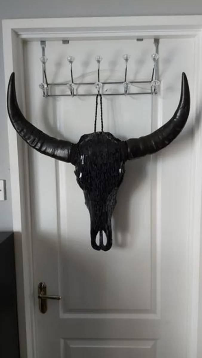 Glass Insert Black Buffalo Skull - Image 3