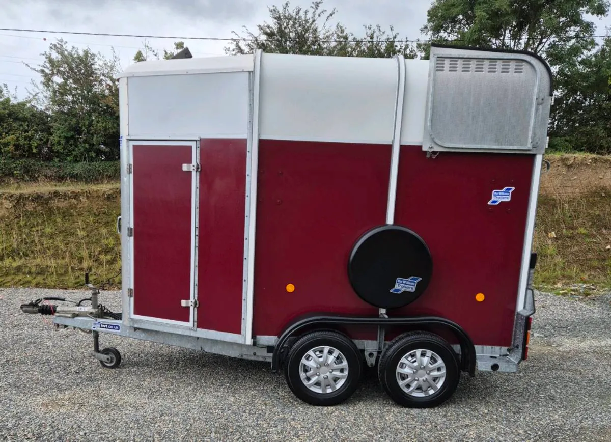 Ifor williams 505 horsebox as new - Image 4