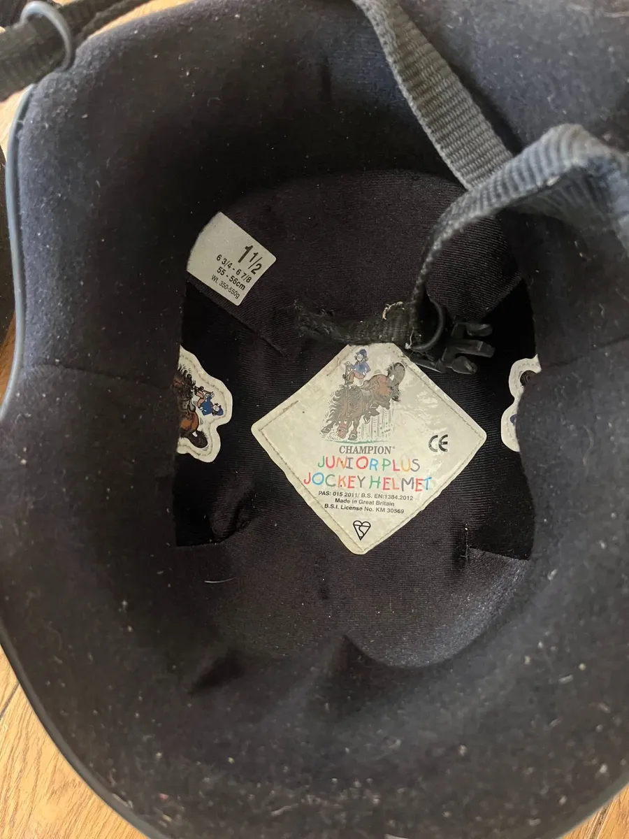 Horse Riding Body Protectors & Helmets - Image 3