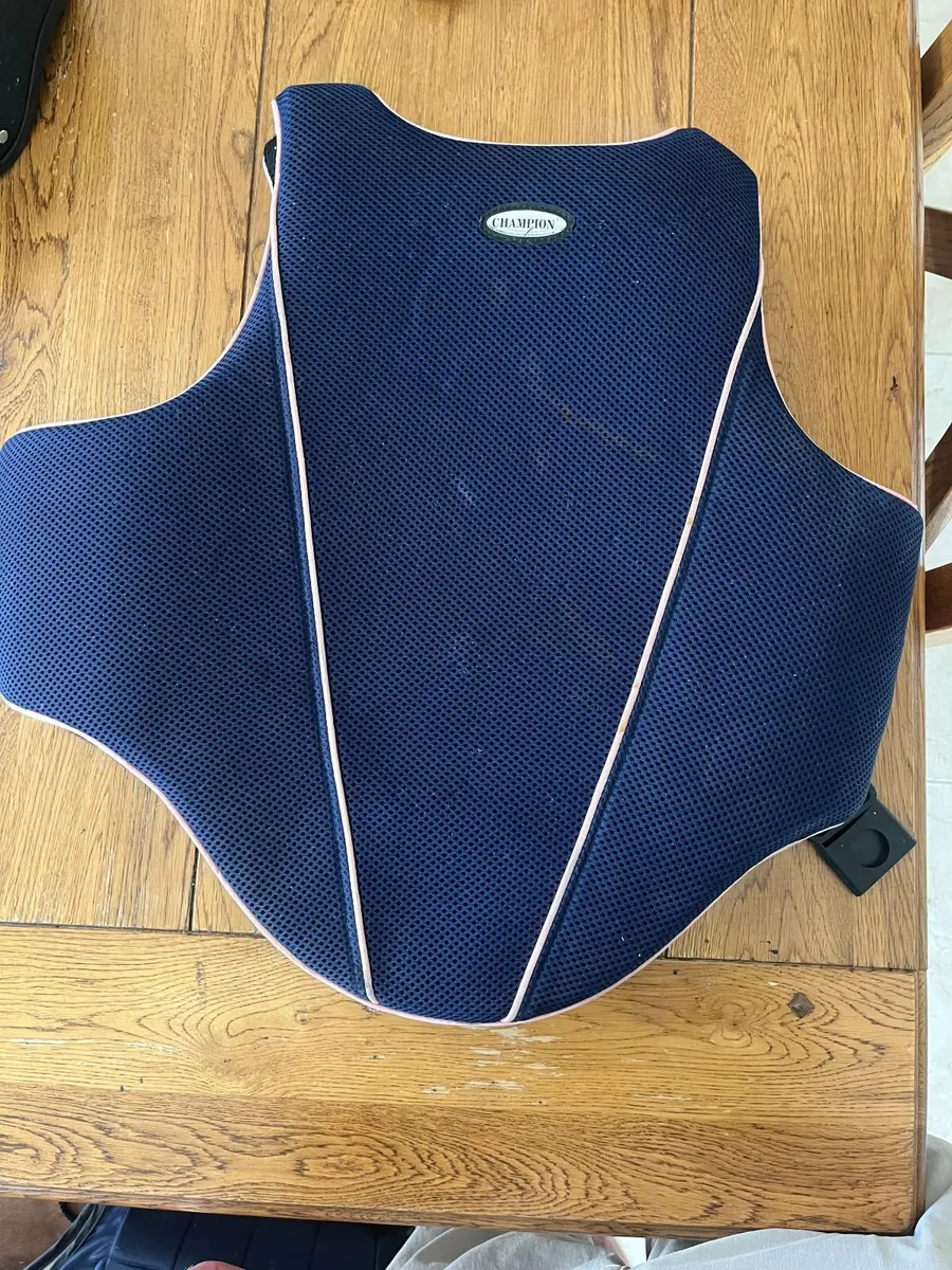 Horse Riding Body Protectors & Helmets - Image 4