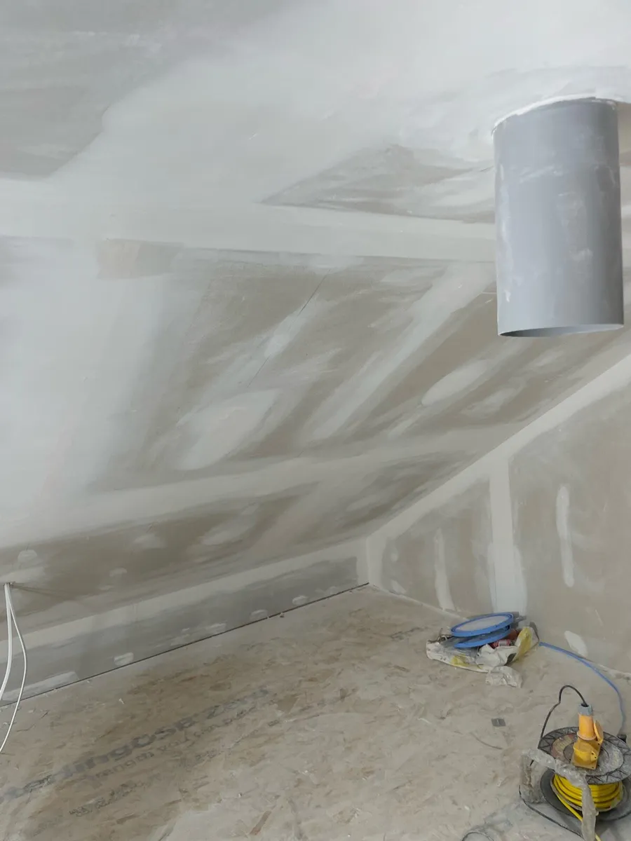 Plaster looking for work around Galway mayo areas - Image 3