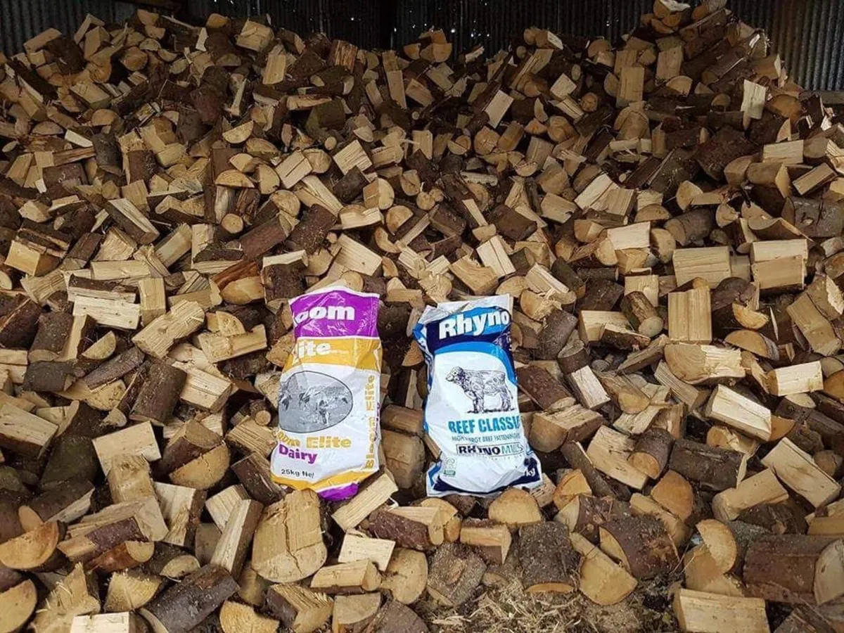 Firewood - Image 1