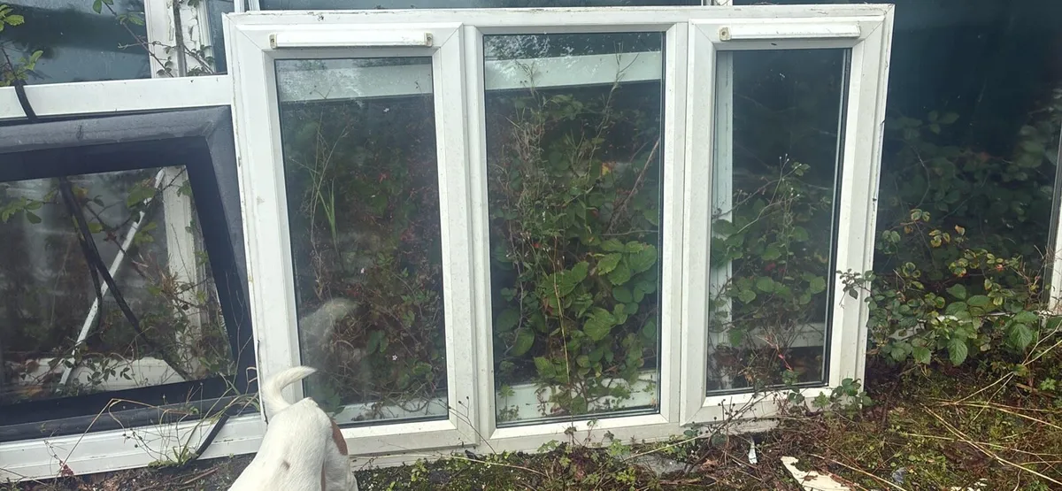 PVC windows - Image 2