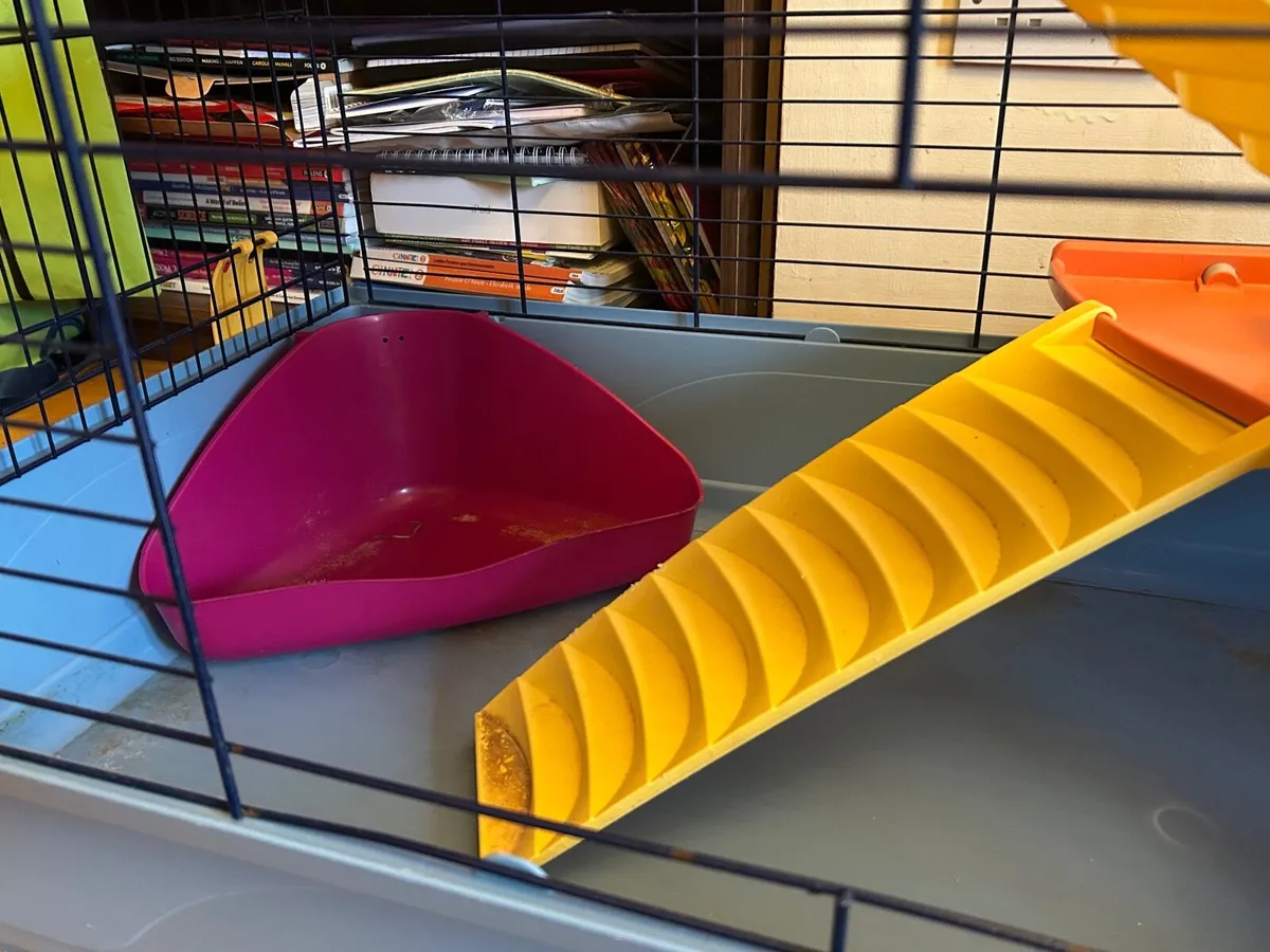 Animal cage - Image 2