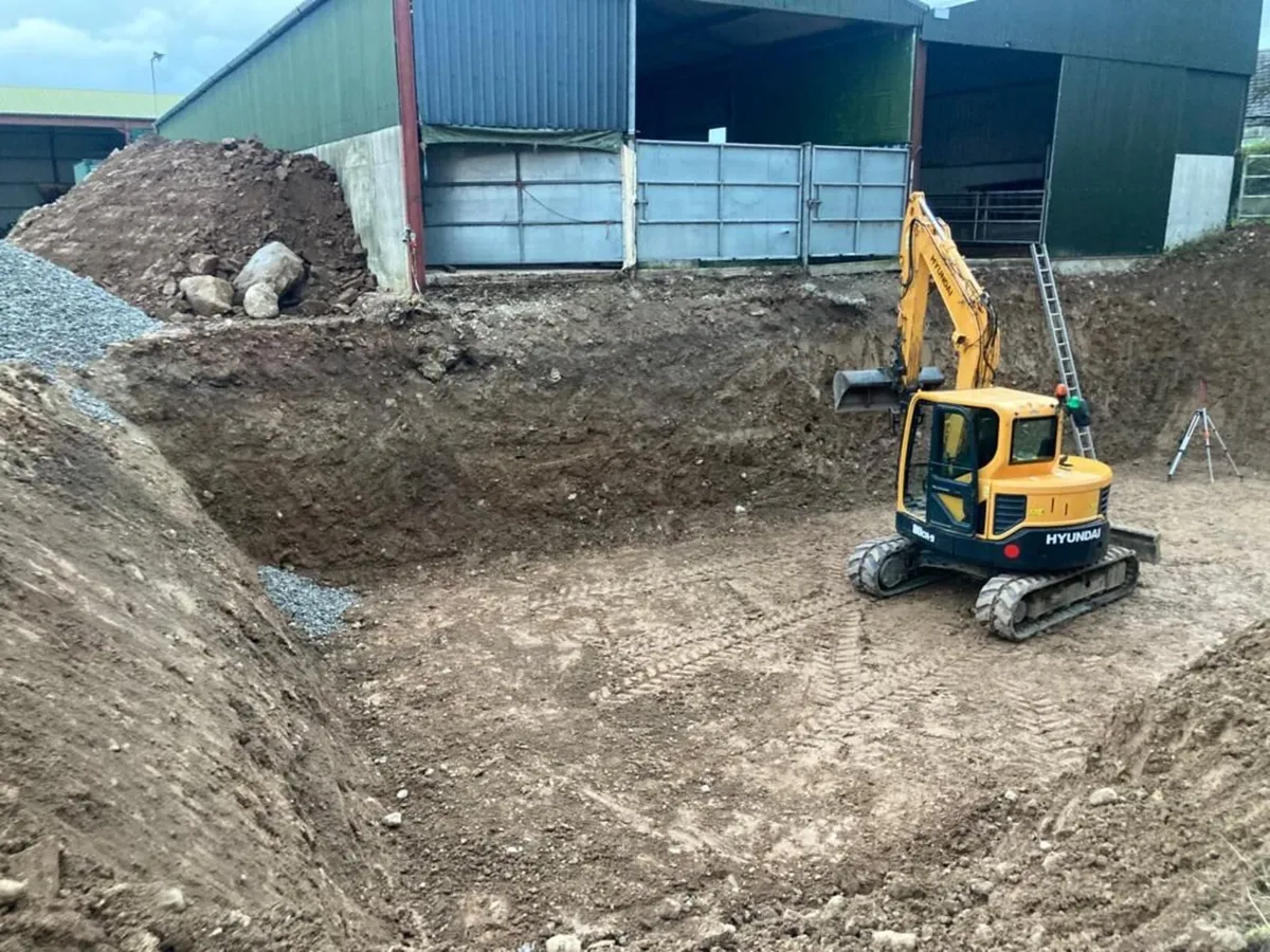 MAN AND DIGGER - Image 2