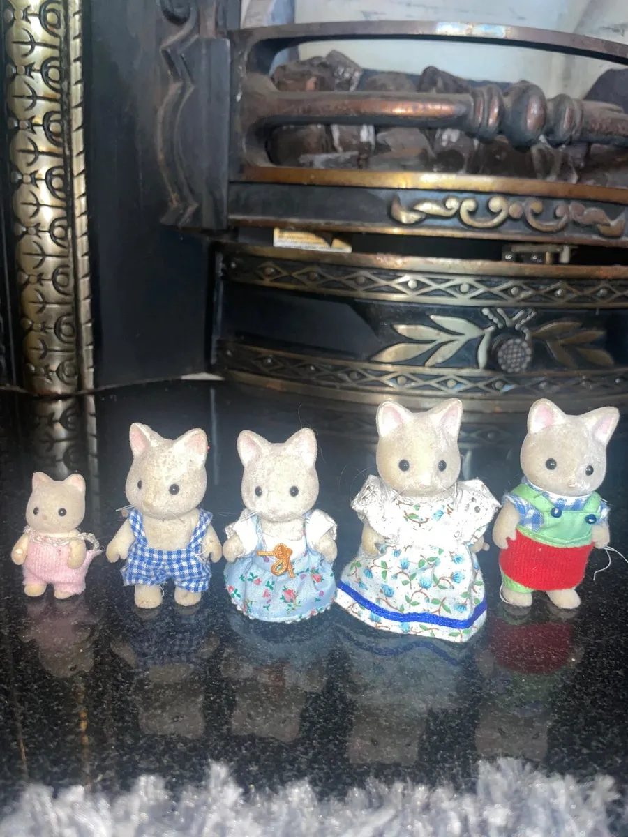 Slyvainan family silks cats and Persian cats - Image 1