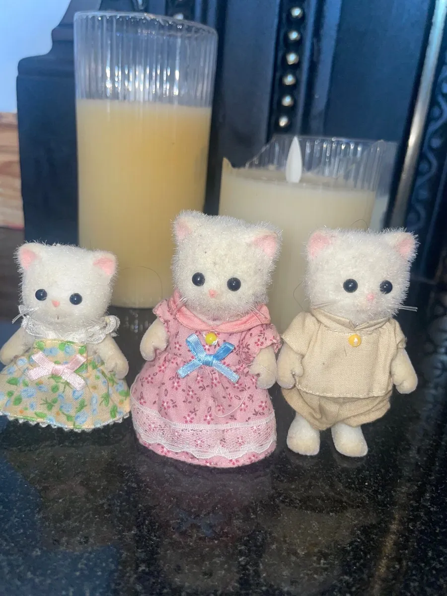 Slyvainan family silks cats and Persian cats - Image 2