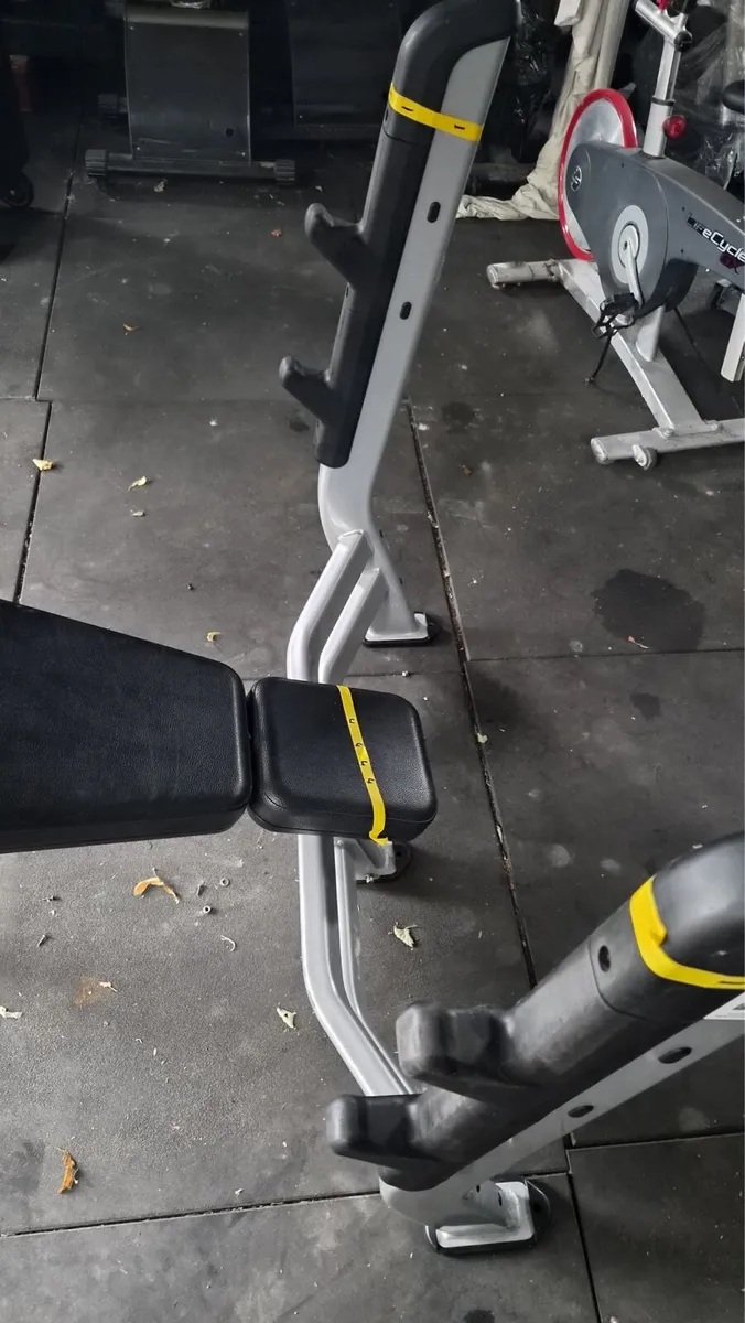 Nautilus decline bench - Image 1