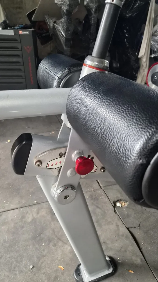 Nautilus decline bench - Image 4