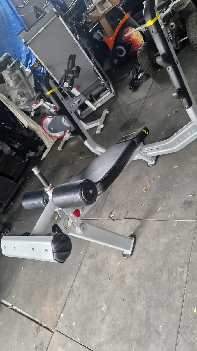 Nautilus decline bench - Image 3