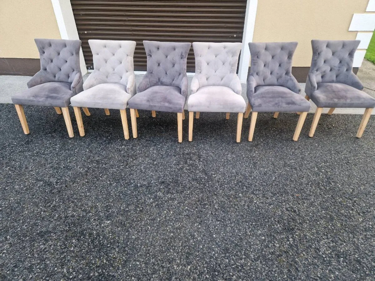 Dining room chairs - Image 1