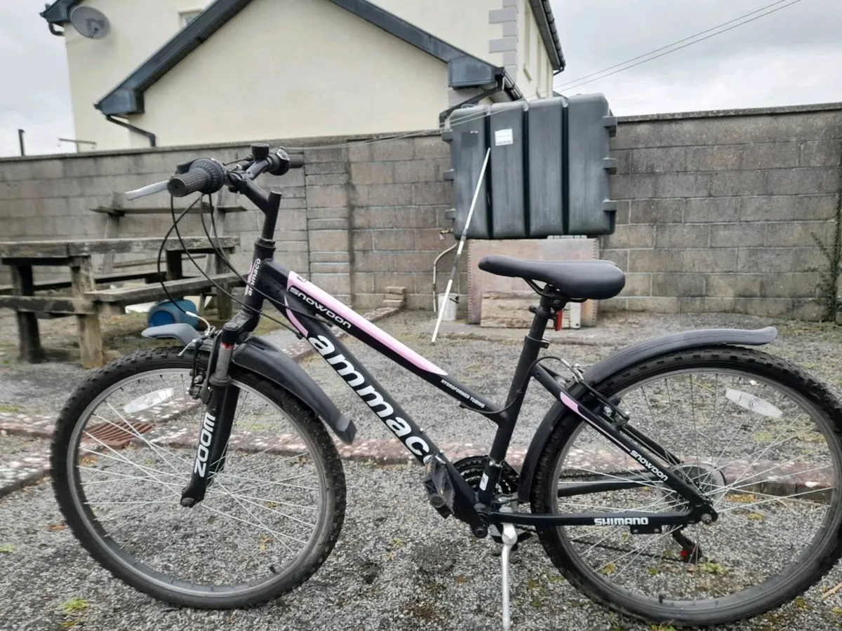 Kids bike - Image 2