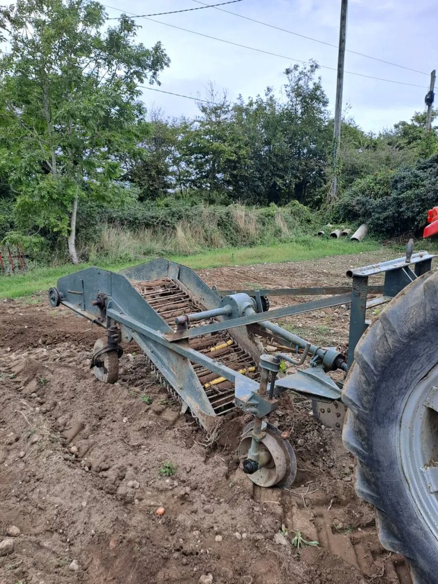 Potato digger - Image 1