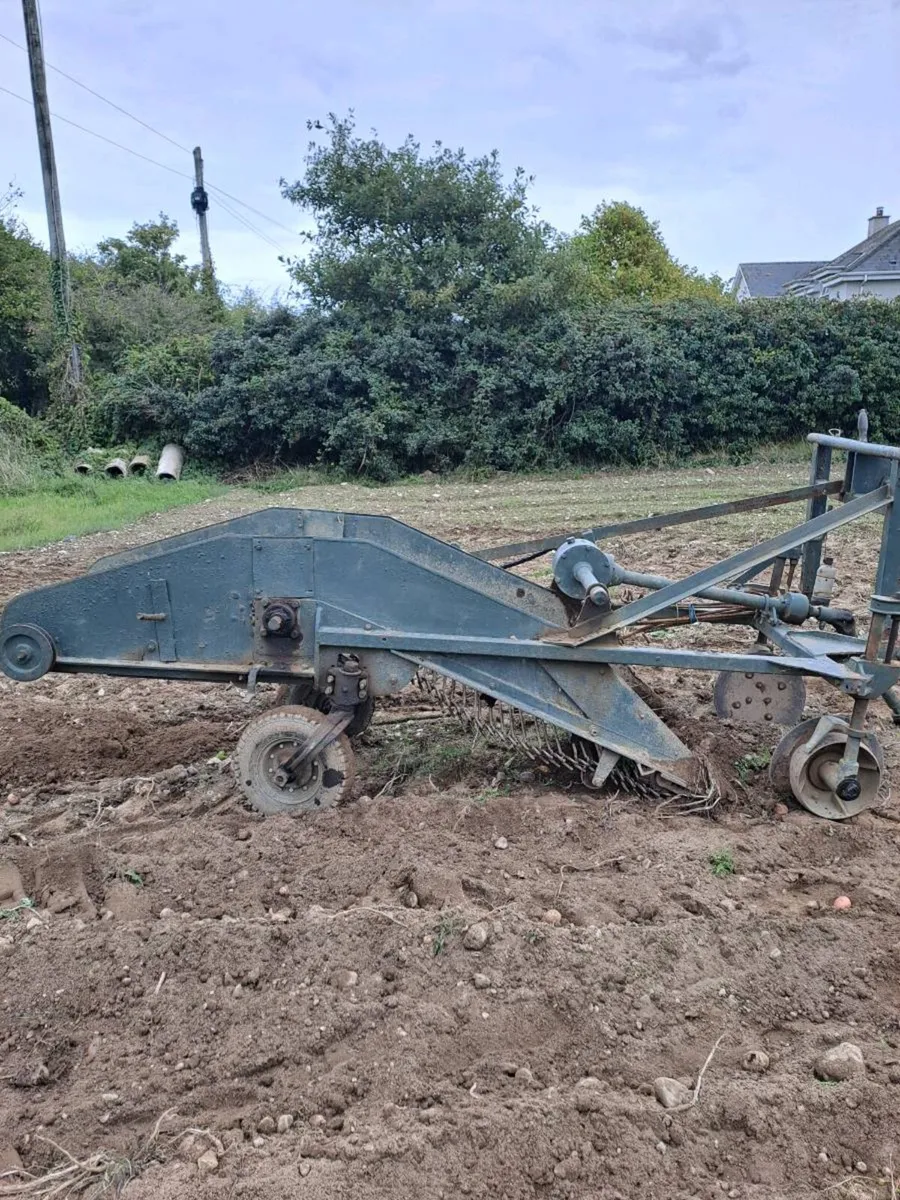 Potato digger - Image 2