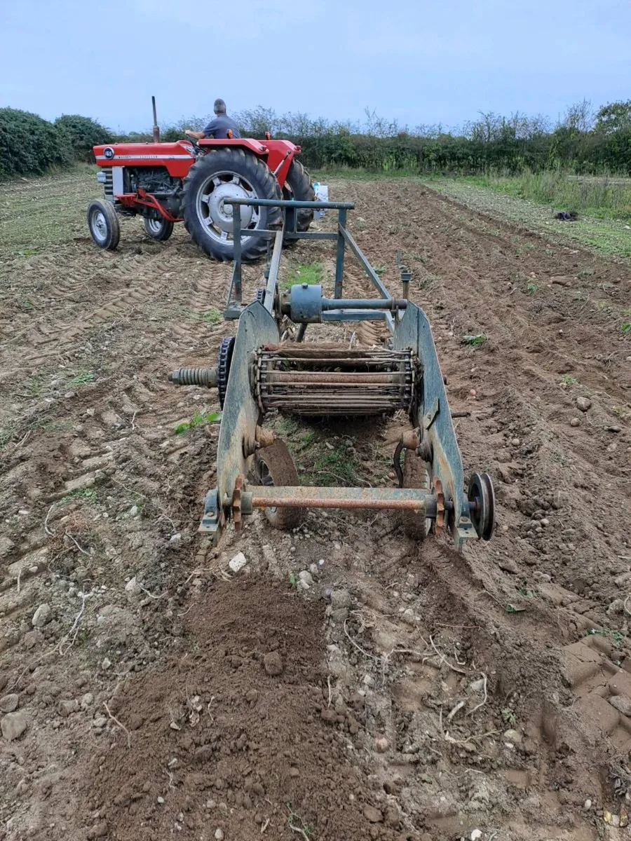 Potato digger - Image 3