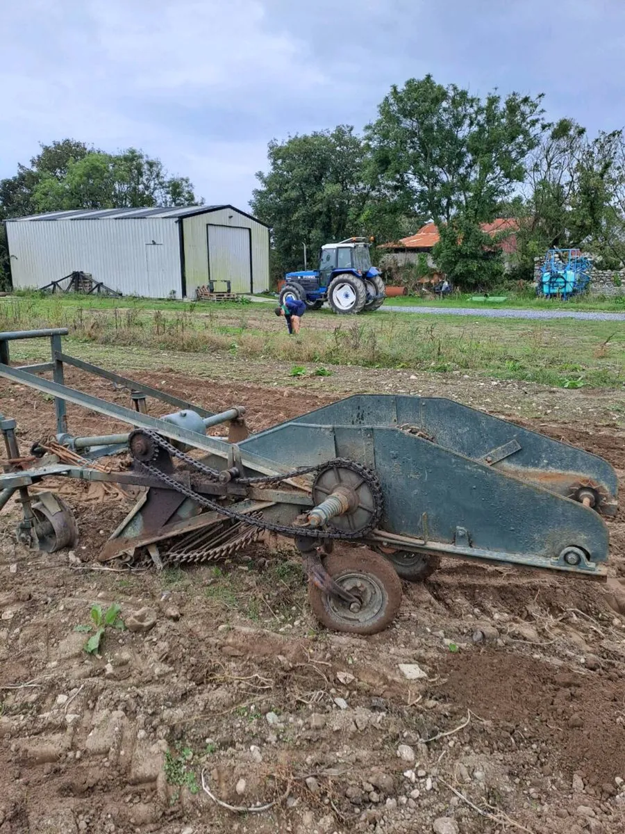 Potato digger - Image 4