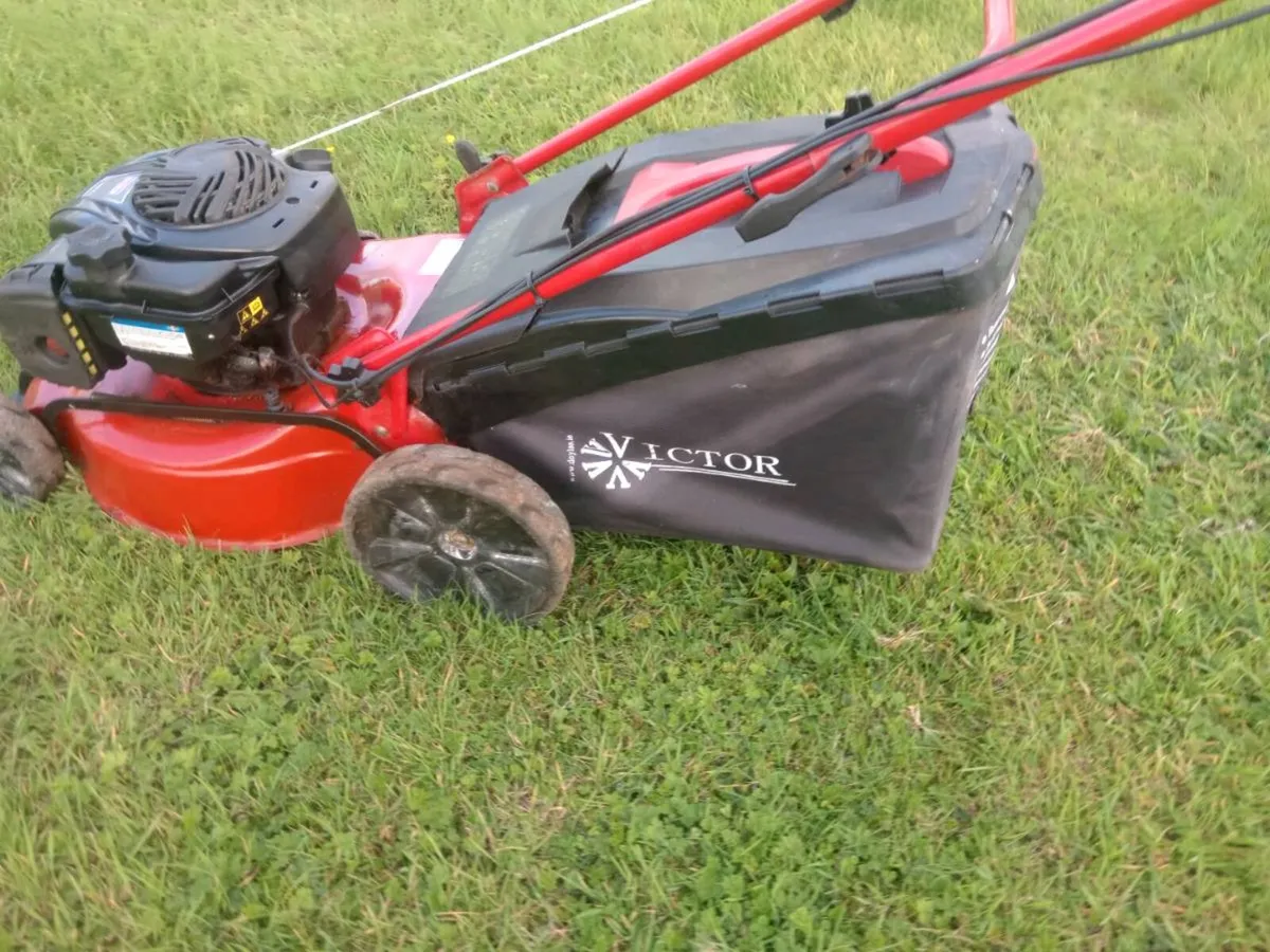 Lawnmowers - Image 3
