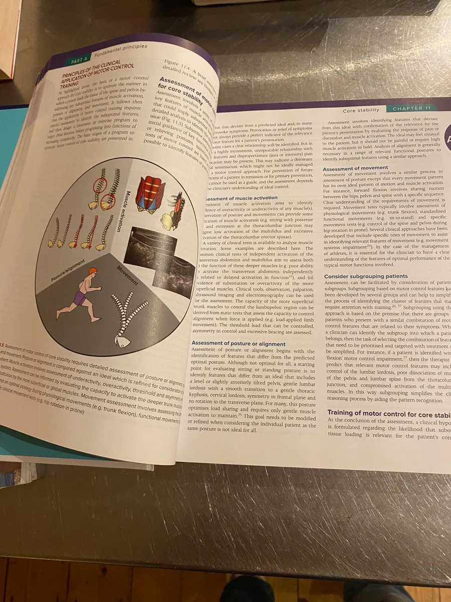 Clinical Sports Medicine - Image 2