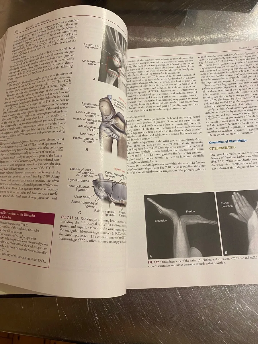 Kinesiology of the Musculoskeletal System - Image 2