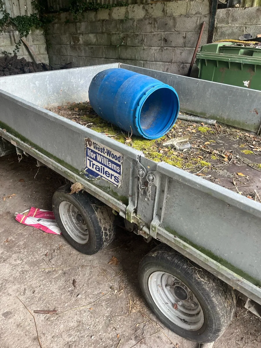 Ifor Williams 12x5 trailer - Image 3