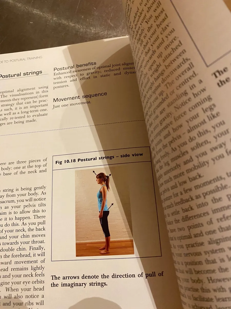Postural Training - Image 2