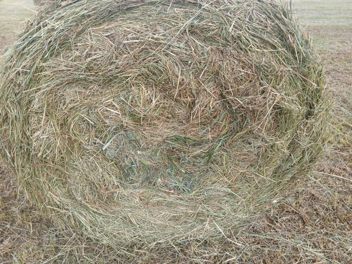 Hay Bales - Image 2