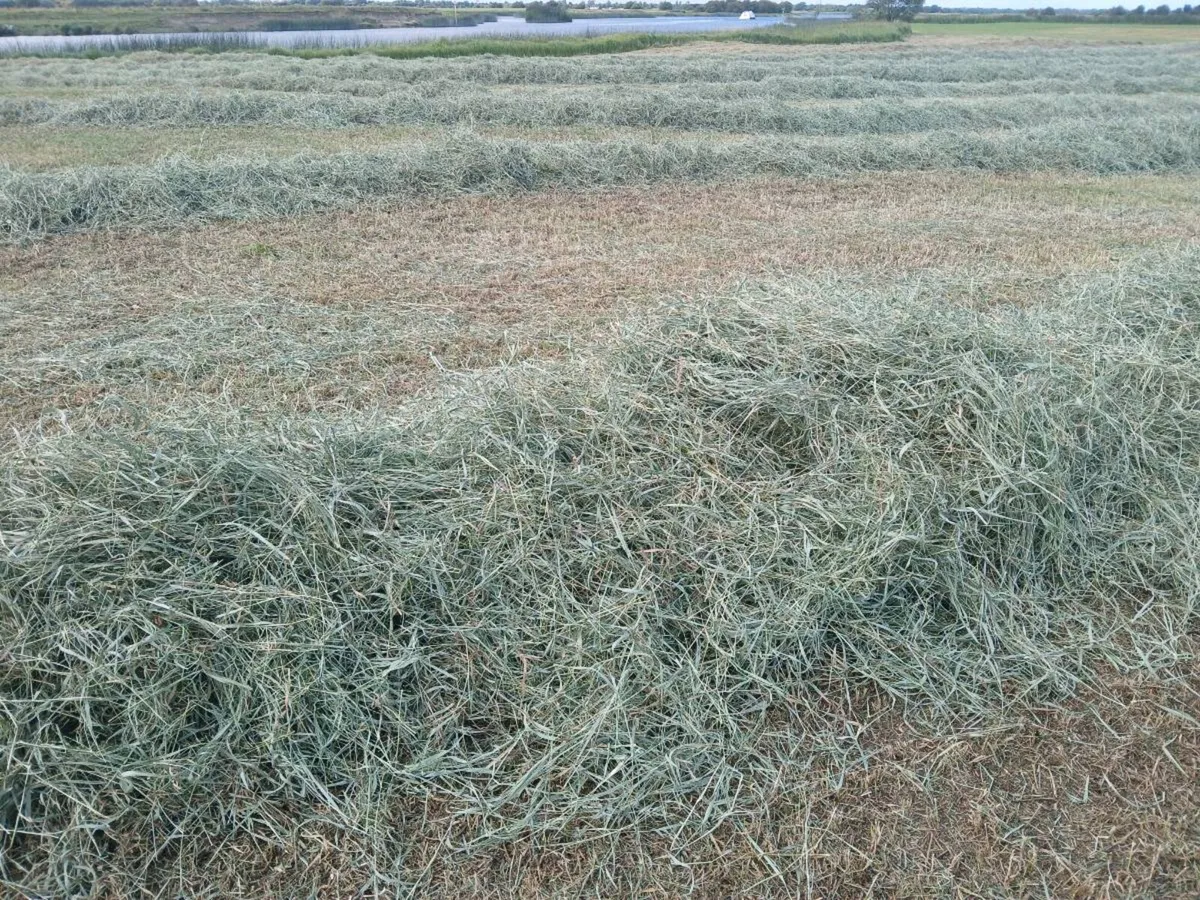 Hay Bales - Image 3