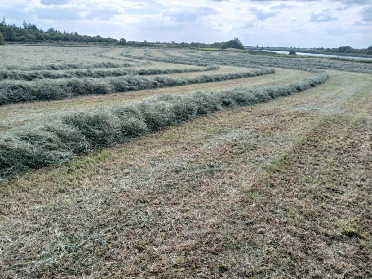 Hay Bales - Image 4