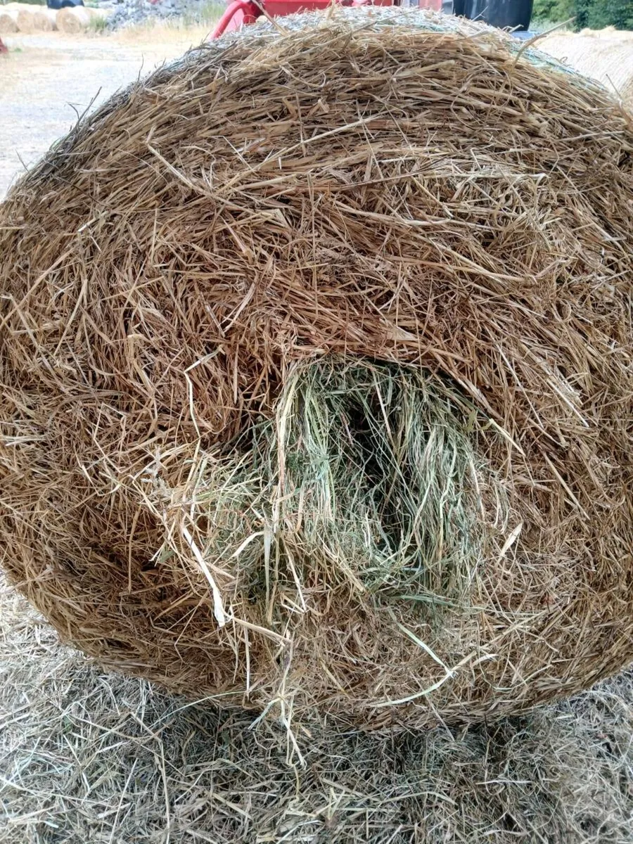 Hay Bales - Image 1